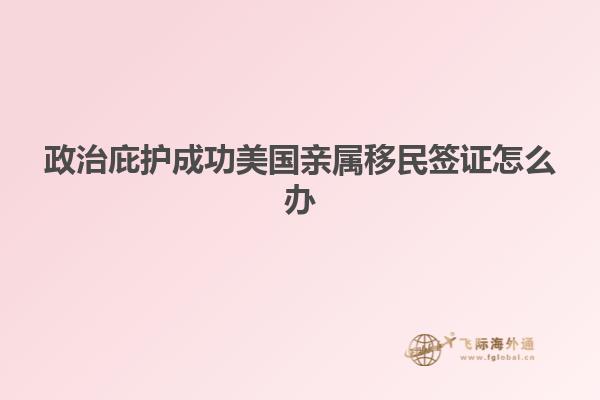 政治庇护成功美国亲属移民签证怎么办