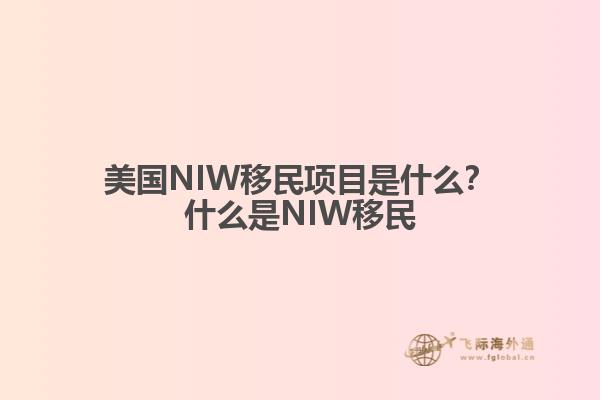 美国NIW移民项目是什么?什么是NIW移民