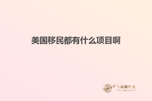 美国移民都有什么项目啊