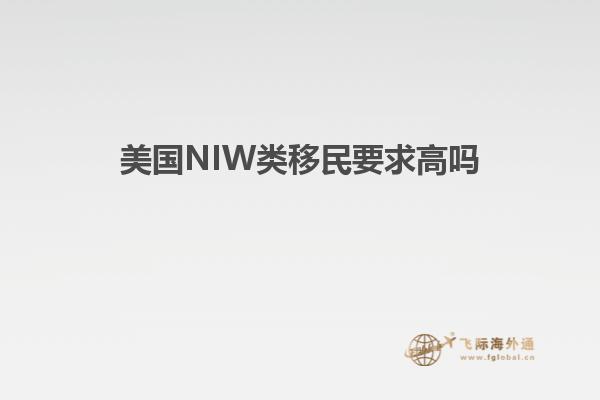 美国NIW类移民要求高吗