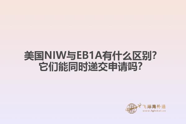 美国NIW与EB1A有什么区别?它们能同时递交申请吗?
