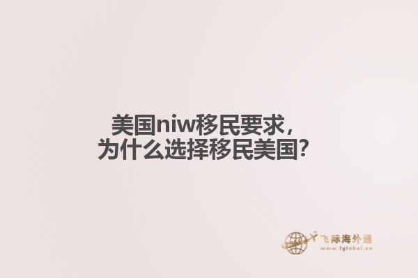 美国niw移民要求,为什么选择移民美国?