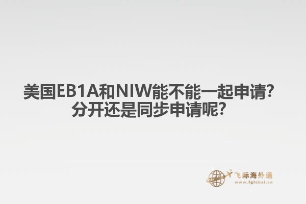 美国EB1A和NIW能不能一起申请?分开还是同步申请呢?