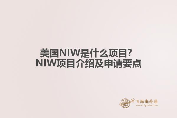 美国NIW是什么项目?NIW项目介绍及申请要点