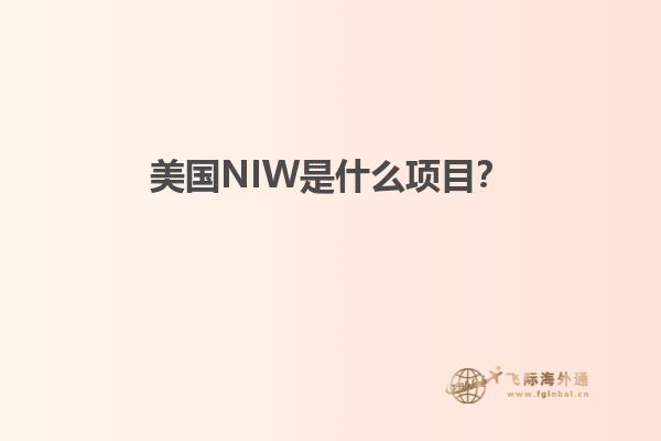 美国NIW是什么项目?