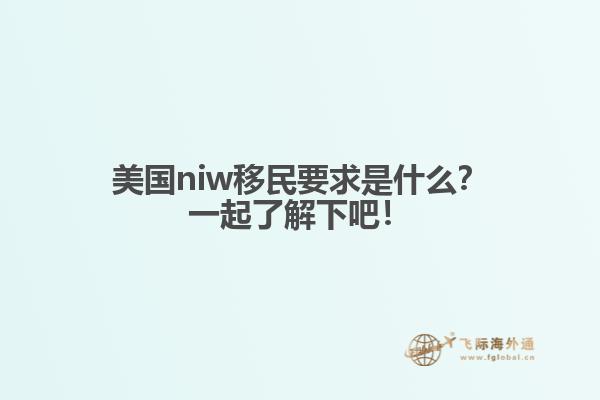 美国niw移民要求是什么？一起了解下吧！