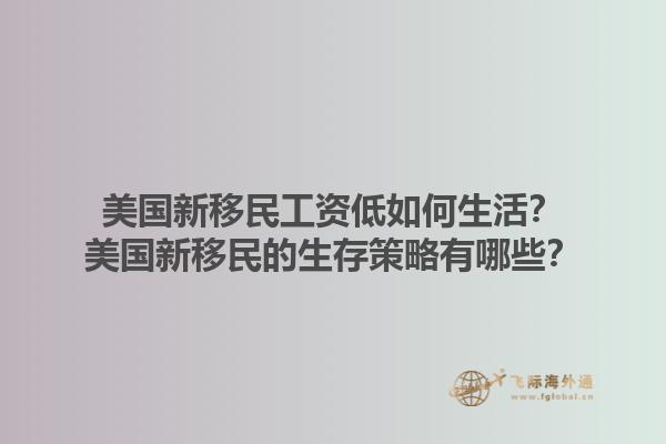 美国新移民工资低如何生活？美国新移民的生存策略有哪些？1.jpg