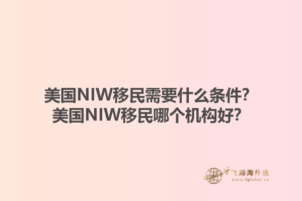 美国NIW移民需要什么条件?美国NIW移民哪个机构好?1.jpg
