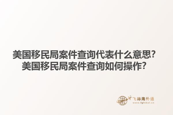 美国移民局案件查询代表什么意思?美国移民局案件查询如何操作?1.jpg