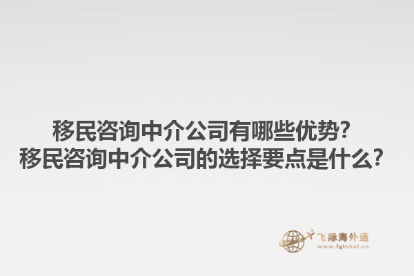 移民咨询中介公司有哪些优势?移民咨询中介公司的选择要点是什么?1.jpg