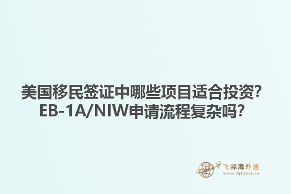 美国移民签证中哪些项目适合投资?EB-1A/NIW申请流程复杂吗?1.jpg