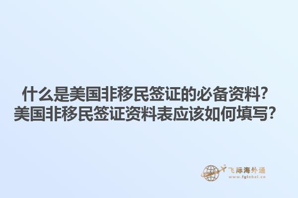 什么是美国非移民签证的必备资料？美国非移民签证资料表应该如何填写？1.jpg