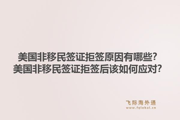 美国非移民签证拒签原因有哪些?美国非移民签证拒签后该如何应对?1.jpg