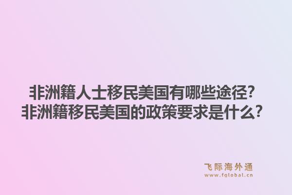 非洲籍人士移民美国有哪些途径?非洲籍移民美国的政策要求是什么?1.jpg