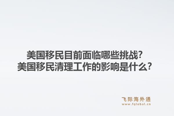 美国移民目前面临哪些挑战?美国移民清理工作的影响是什么?1.jpg
