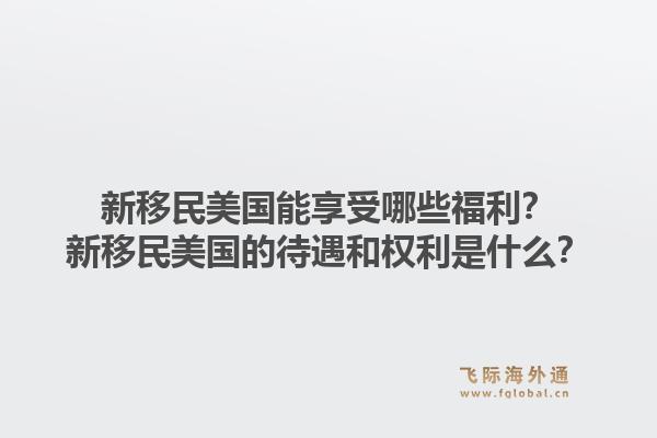 新移民美国能享受哪些福利?新移民美国的待遇和权利是什么?1.jpg