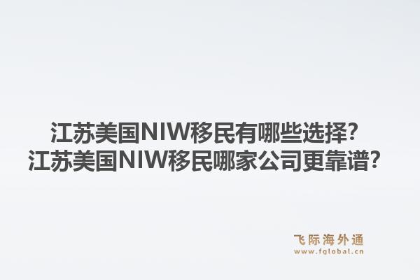 江苏美国NIW移民有哪些选择?江苏美国NIW移民哪家公司更靠谱?1.jpg