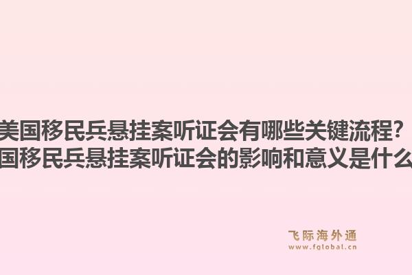 美国移民兵悬挂案听证会有哪些关键流程?美国移民兵悬挂案听证会的影响和意义是什么?1.jpg