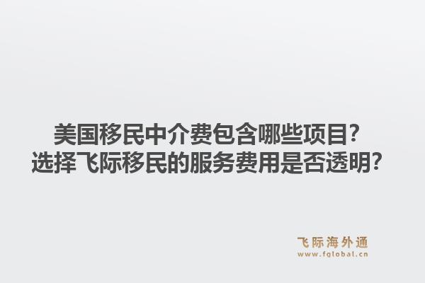 美国移民中介费包含哪些项目？选择飞际移民的服务费用是否透明？1.jpg