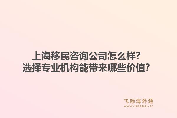 上海移民咨询公司怎么样？选择专业机构能带来哪些价值？