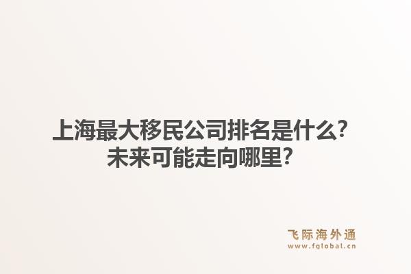 上海最大移民公司排名是什么？未来可能走向哪里？