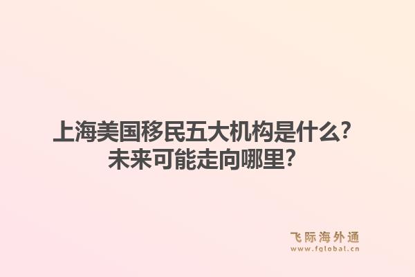 上海美国移民五大机构是什么？未来可能走向哪里？