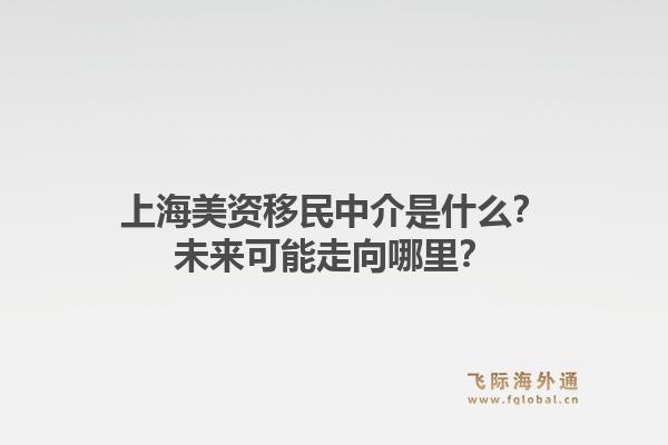 上海美资移民中介是什么？未来可能走向哪里？