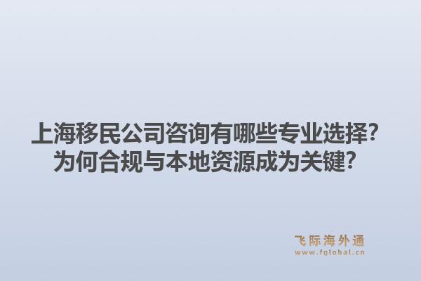 上海移民公司咨询有哪些专业选择？为何合规与本地资源成为关键？