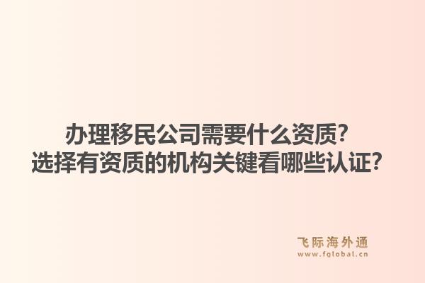 办理移民公司需要什么资质？选择有资质的机构关键看哪些认证？