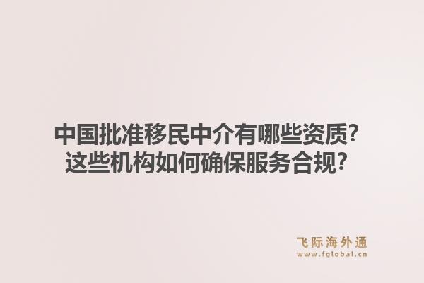 中国批准移民中介有哪些资质？这些机构如何确保服务合规？