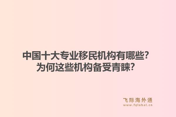 中国十大专业移民机构有哪些？为何这些机构备受青睐？