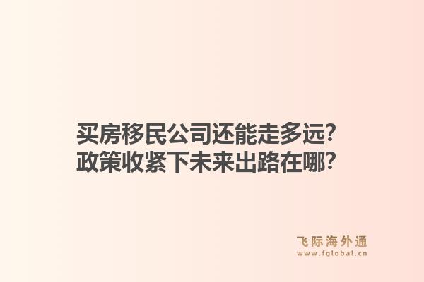 买房移民公司还能走多远？政策收紧下未来出路在哪？