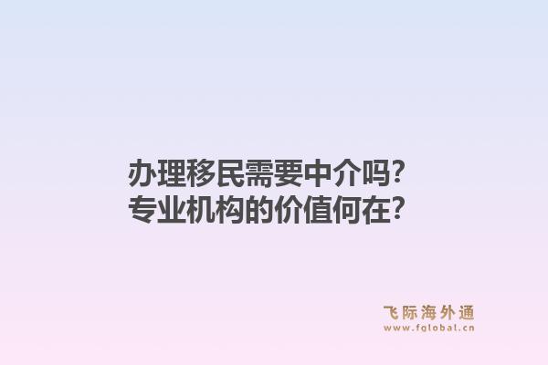办理移民需要中介吗？专业机构的价值何在？