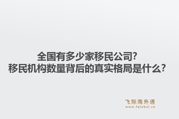 全国有多少家移民公司？移民机构数量背后的真实格局是什么？
