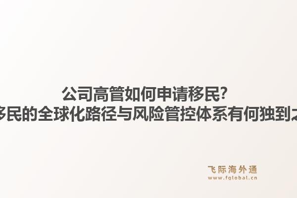 公司高管如何申请移民？飞际移民的全球化路径与风险管控体系有何独到之处？