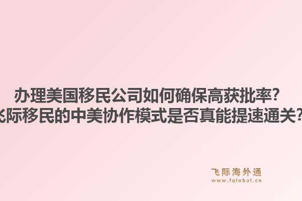 办理美国移民公司如何确保高获批率？飞际移民的中美协作模式是否真能提速通关？