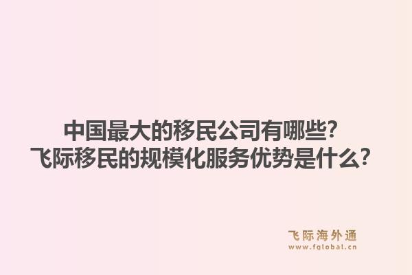 中国最大的移民公司有哪些？飞际移民的规模化服务优势是什么？