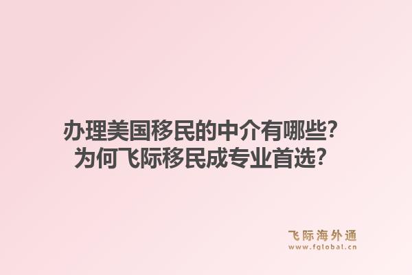 办理美国移民的中介有哪些？为何飞际移民成专业首选？