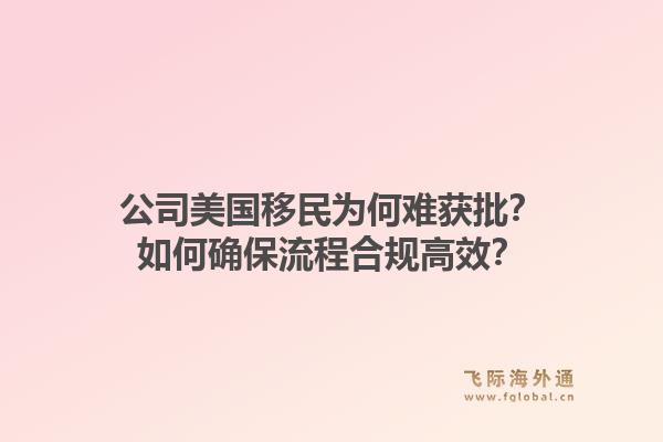 公司美国移民为何难获批？如何确保流程合规高效？