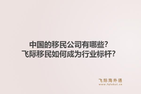 中国的移民公司有哪些?飞际移民如何成为行业标杆?1.jpg