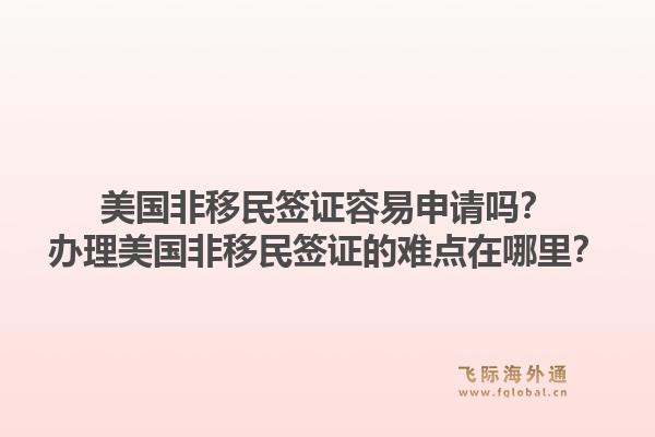 美国非移民签证容易申请吗？办理美国非移民签证的难点在哪里？1.jpg