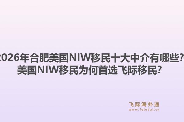 2026年合肥美国NIW移民十大中介有哪些？美国NIW移民为何首选飞际移民？