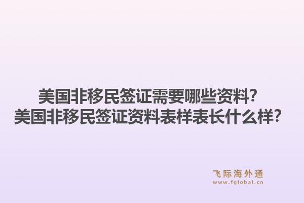美国非移民签证需要哪些资料?美国非移民签证资料表样表长什么样?1.jpg