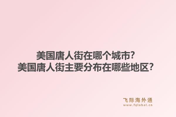 美国唐人街在哪个城市？美国唐人街主要分布在哪些地区？1.jpg