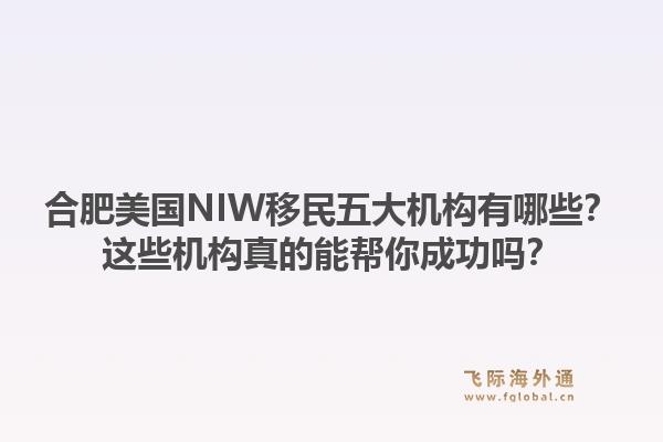 合肥美国NIW移民五大机构有哪些？这些机构真的能帮你成功吗？