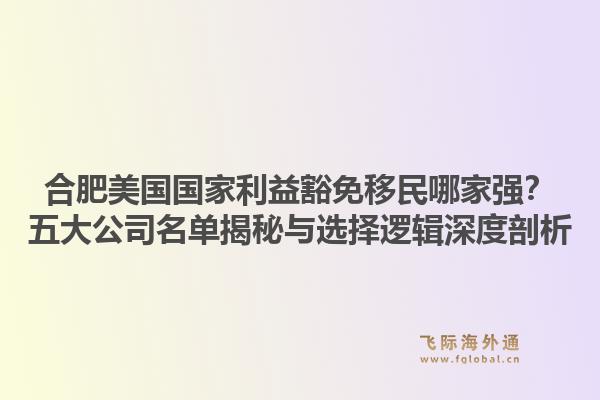 合肥美国国家利益豁免移民哪家强？五大公司名单揭秘与选择逻辑深度剖析