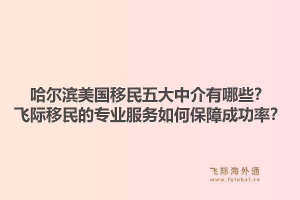 哈尔滨美国移民五大中介有哪些？飞际移民的专业服务如何保障成功率？