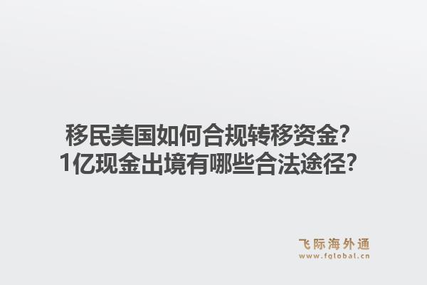 移民美国如何合规转移资金？1亿现金出境有哪些合法途径？1.jpg