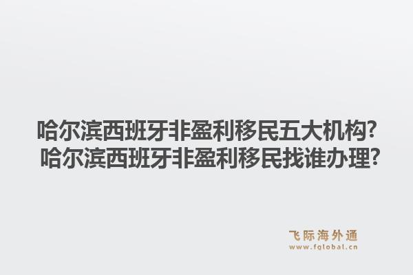 哈尔滨西班牙非盈利移民五大机构? 哈尔滨西班牙非盈利移民找谁办理?