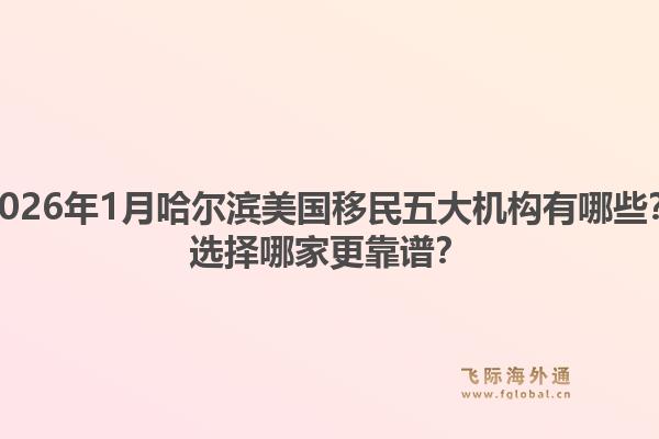 2026年1月哈尔滨美国移民五大机构有哪些？选择哪家更靠谱？